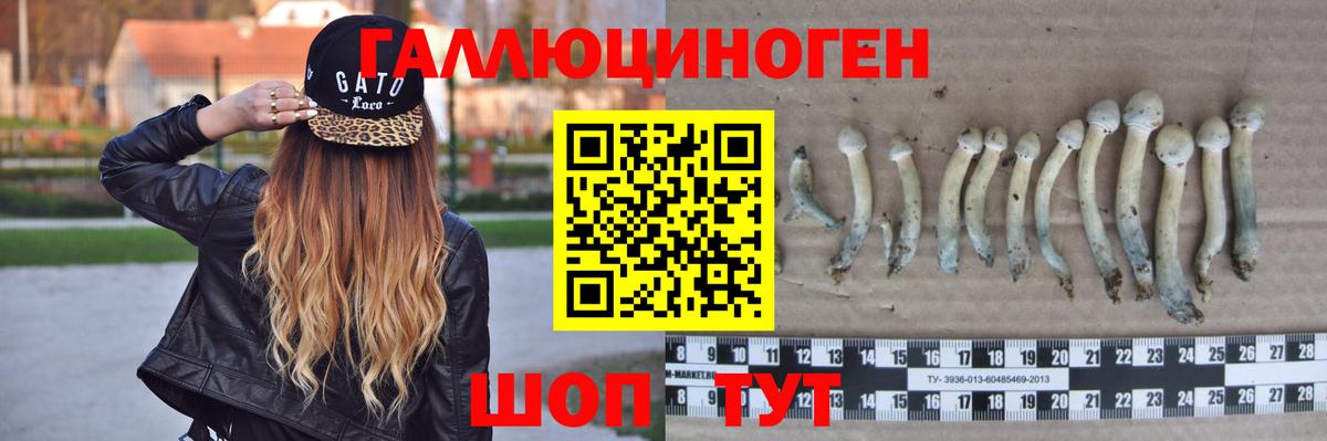 Галлюциногенные грибы Ноябрьск