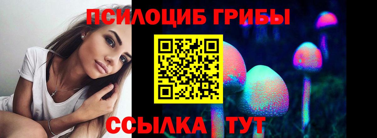 Галлюциногенные грибы прущие грибы  Вход с VPN  Ноябрьск 