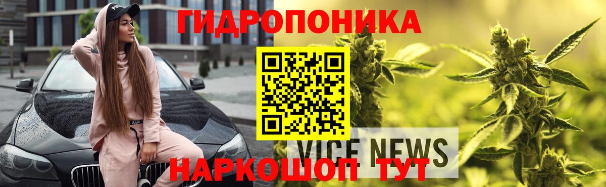 Канабис Bruce Banner Ноябрьск